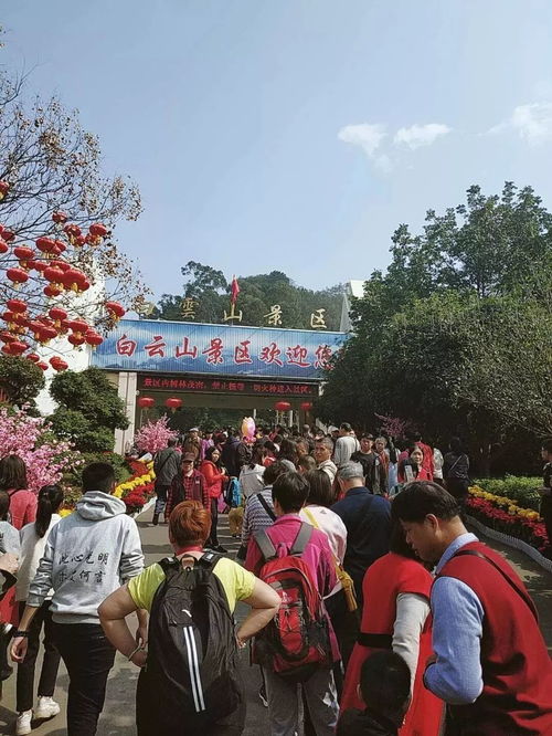 大年初一全国人从众：外滩西湖兵马俑涌进“一亿人” 导航地图红到发紫