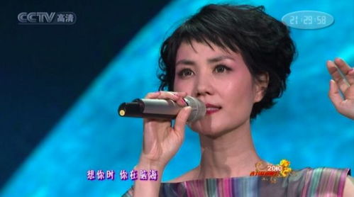 春晚哪首歌是你心中最佳：那些触动心灵的经典旋律