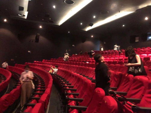 我们为什么走进电影院