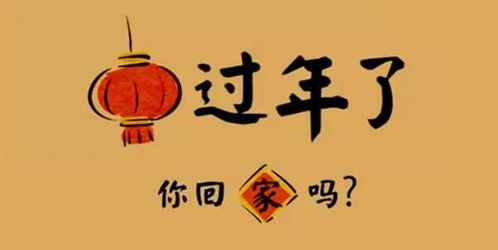 今年，他们不回家：平凡中的伟大坚守