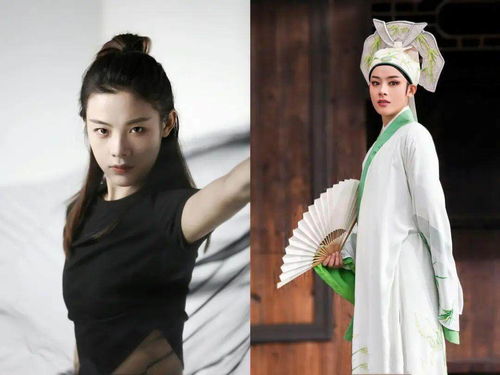 陈丽君演绎贾宝玉：从书中走来的传奇