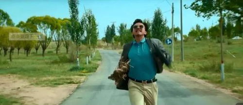 王宝强主演电影票房破200亿，春节档再创辉煌