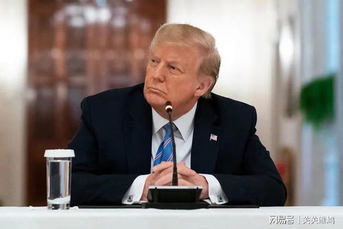 特朗普承诺下的乌克兰：希望与现实的落差