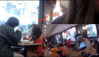 留学生悄悄回国过年：异国他乡与故乡的春节回忆