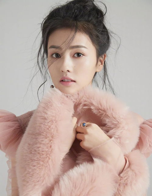 白鹿终于加到了宋佳微信：背后的故事与启示