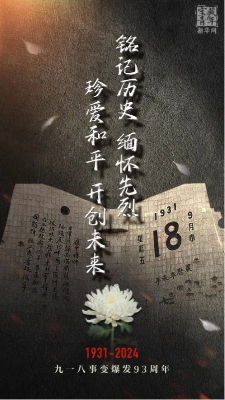 忘不了的NewBing大小姐：一个贴吧网友的心路历程