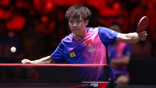 王楚钦新加坡大满贯备战视频：逐梦无悔，热血铸就辉煌