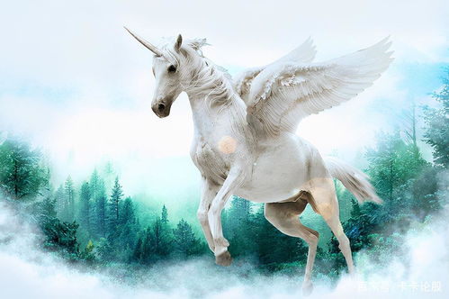 今年杭州最火独角兽：从50亿估值到港交所的华丽转身