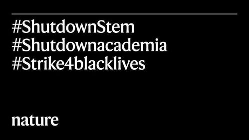 世界科学家涌向DeepSeek：一场AI领域的革命