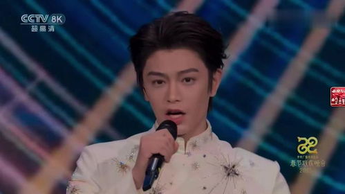 丁禹兮春晚惊艳亮相：从《永夜星河》到舞台焦点