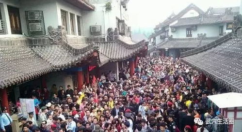 春节假期：当“我”置身于人海之中