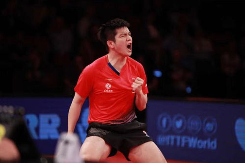 樊振东获得世界杯参赛资格：荣耀之路的延续