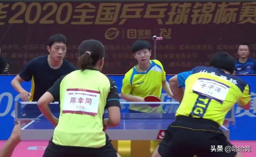 樊振东陈梦确定无缘世界杯：国乒传奇的休整与展望
