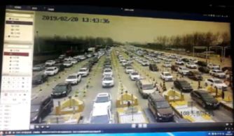 亲历宁洛高速拥堵：10公里长龙背后的真相