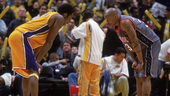 王猛马布里事件背后的真相：网络暴力与维权之路