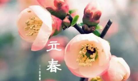 立春：感受春天的脚步，迎接新一年的希望