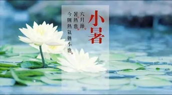 文化中国行：舌尖上的二十四节气美食之旅