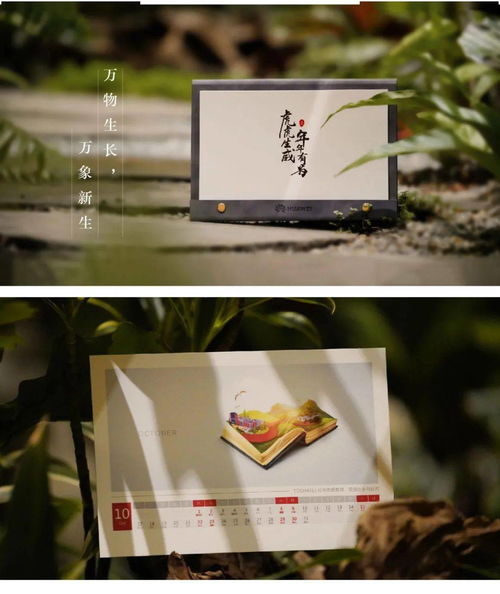 活跃的春节 生机盎然