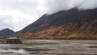 蓝战非与母亲的西藏自驾之旅：一场温暖心灵的冒险