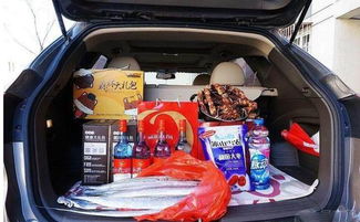 返程的后备箱里是满满的爱