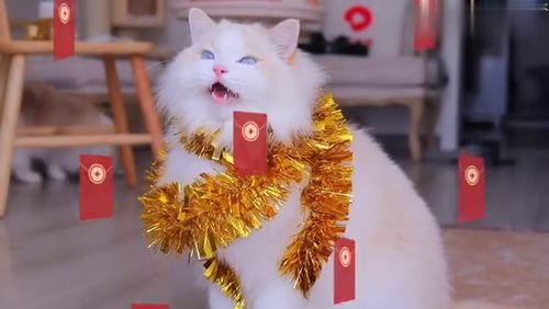 每到过年，家里的小宝贝衣服洗得特别勤：一个妈妈的温馨故事