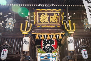 《刺客信条：影》风波背后的真相与反思