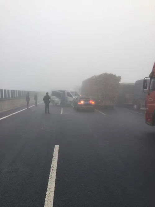 惊心动魄！辽宁鞍山高速迷雾中20多车连撞，现场惨烈