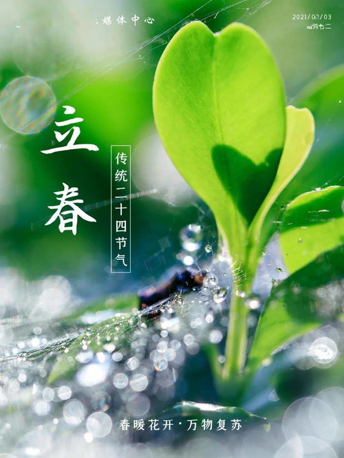 今日立春：迎接春天的美好时光