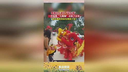 当一群大狮子遇上“尿布狮”：一个奇妙的非洲草原故事