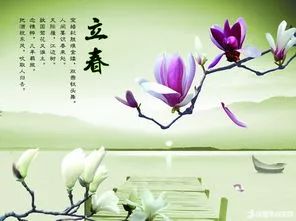 立春至 一起迎接春天