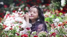 张元英的镜头魅力：从直播到演唱会，她如何点燃网络热潮