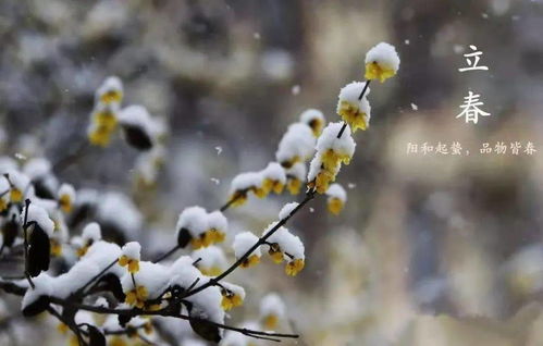 大年初六逢立春：感受时光流转与二十四节气之美
