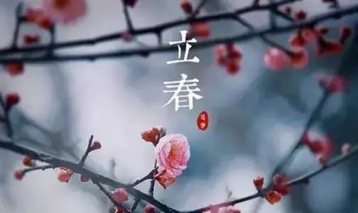 立春的别名：探寻传统节气背后的诗意与文化