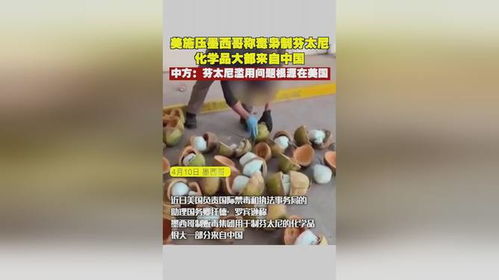 芬太尼问题的本质：一场跨国合作的反思