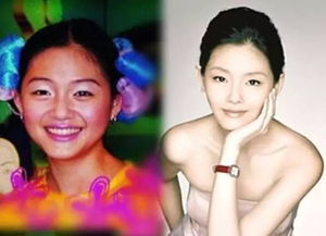 大S将在日本火化：一场跨越时空的告别