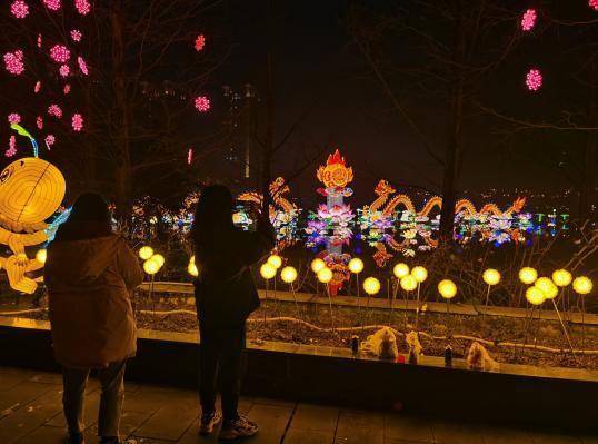 文化年味浓，新春消费热：我的春节文旅之旅