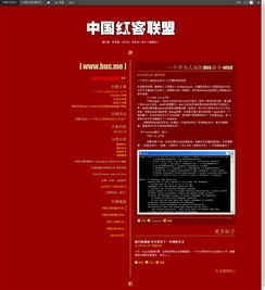 网络世界的暗涌：中国红客联盟与DeepSeek事件的深度解析