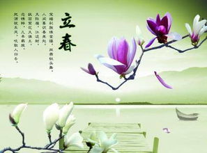 立春岁首迎新象：从我眼中看四季轮回与新生