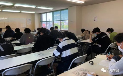 网红“中S”宣布暂停模仿大S：流量背后的思考与抉择