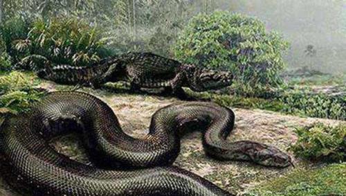 探秘蛇的崇拜：从恐惧到崇敬