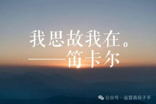 AI风暴：DeepSeek引发的全球关注与思考