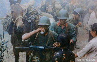 国际局势中的理性回应：中方的克制与智慧