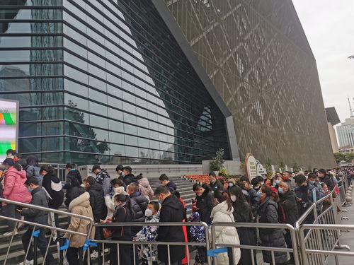 春节文旅市场火爆：我亲历的文旅热潮