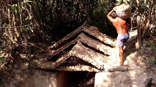 春节营销战：从心灵庇护所到印钞机的转变