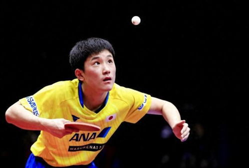 张本智和大满贯出局：从辉煌到遗憾的征程