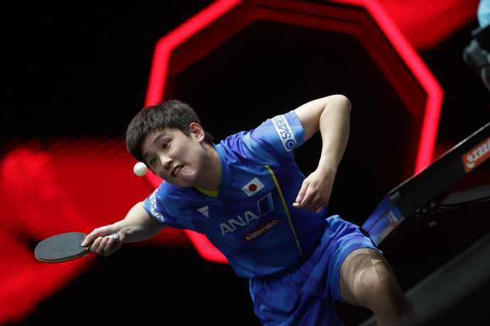 张本兄妹新加坡大满贯双双出局：背后的故事与反思