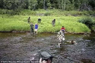 女子离家9天，猫咪水淹厕所欠费539元：一场意想不到的家庭小插曲