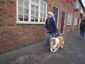 机器狗上岗，乌鲁木齐地铁演练中的科技新宠