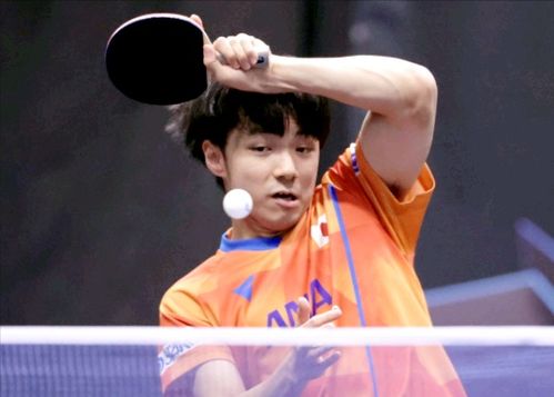 张本智和爆冷出局！苦战不敌国乒非主力，止步新加坡大满贯赛32强