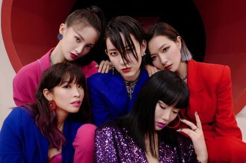 《浪姐6》阵容揭晓：期待与惊喜并存